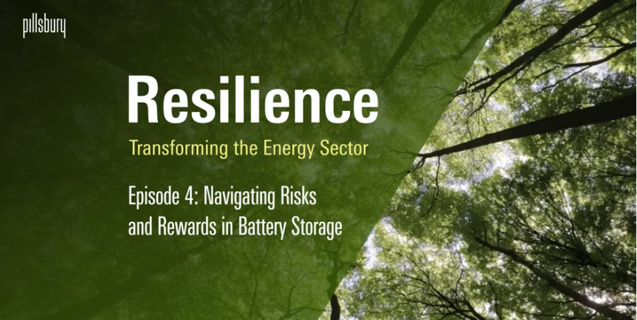 Resilience: Transforming Energy Sector – Navigating the Risks and Rewards of Battery Storage